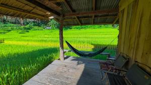 Φωτογραφία από το άλμπουμ του Chibacall ชิบะคอล, Karen Mountain Hideaway Homestay σε Ban Pha Mon