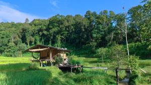 Φωτογραφία από το άλμπουμ του Chibacall ชิบะคอล, Karen Mountain Hideaway Homestay σε Ban Pha Mon +36 φωτογραφίες