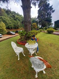 Gallery image of Mistyloft by East West in Wayanad