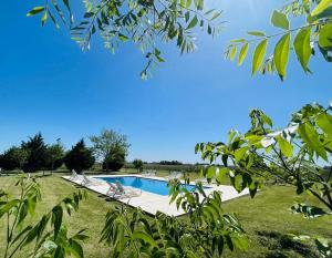 a swimming pool in the middle of a grass field at Hostel de campo La Providencia in Lobos
