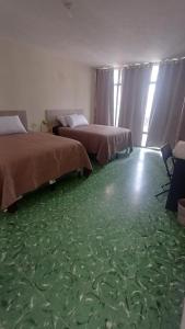 een kamer met 2 bedden en een groen tapijt bij Hotel villa 15 in Las Victorias