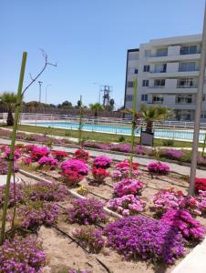 a garden of pink flowers in front of a building at Jardines del Pacifico in El Cerrillo