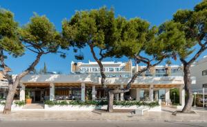 
a large tree in front of a large building at FERGUS Style Palmanova - Adults Only in Palmanova
