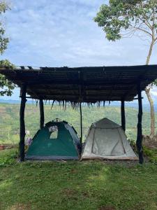Dos tiendas de campaña bajo un techo de madera sobre el césped. en Thrill Playgrounds & Tipi Cafe, en Libona