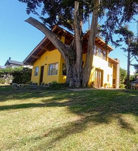 a yellow house with a tree in the yard at CASA FAMILIAS muy cerca PLAYA Y Av3 in Villa Gesell