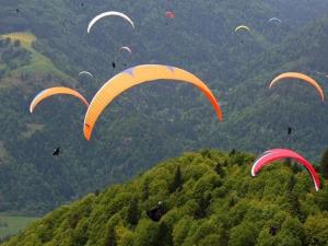 莱卡巴讷Chalet confortable 4 pers avec terrasse - API-1-52-391的一群风筝在山丘上空飞翔