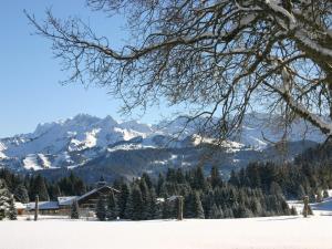 eine schneebedeckte Bergkette mit einem Haus und Bäumen in der Unterkunft Charmant studio 4 pers au Praz de Lys, proche pistes et commerces - FR-1-815-15 in Le Praz de Lys