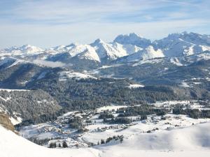 Luftblick auf ein Skigebiet in den Bergen in der Unterkunft Charmant studio 4 pers au Praz de Lys, proche pistes et commerces - FR-1-815-15 in Le Praz de Lys