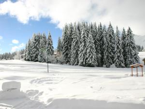 ein schneebedecktes Feld mit Bäumen im Hintergrund in der Unterkunft Charmant studio 4 pers au Praz de Lys, proche pistes et commerces - FR-1-815-15 in Le Praz de Lys