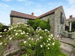 Zahrada ubytování Camelot