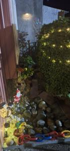 un jardin avec des rochers et des plantes et un chemin dans l'établissement Alojamiento en Punta Arenas, à Punta Arenas