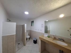 Un baño con lavabo, inodoro y espejo. en Residencia COCO 28 Downtown Cancun, en Cancún