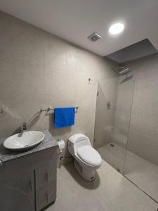 ein Badezimmer mit Toilette, Waschbecken und Dusche in der Unterkunft casa en cuenca full equipada in Cuenca