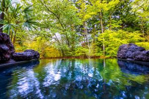 Φυσικό τοπίο κοντά σε αυτή η βίλα