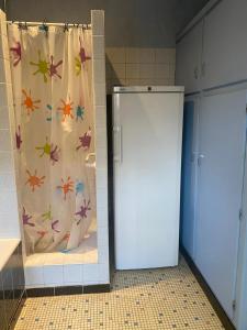 a bathroom with a shower curtain and a toilet at Maison Chez Grand-mère, Route des vins in Bergheim