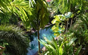 a pond in a tropical garden with palm trees at Residence Indochine Suite in Siem Reap +74 photos