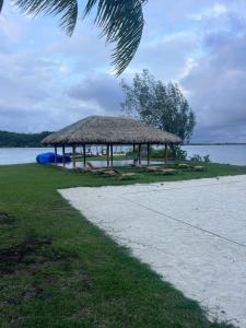 Příroda nedaleko penzionu + 6 fotografií