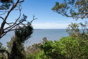 a view of the ocean through the trees at Tenby Point Waterfront Views & Tranquil Garden in Queensferry