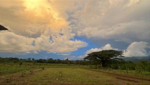 UpalaにあるApartamento Río Niñoの野原と木のある曇り空