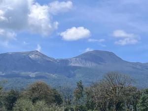 UpalaにあるApartamento Río Niñoの手前に木々が植えられた山々の景色 +7枚の写真