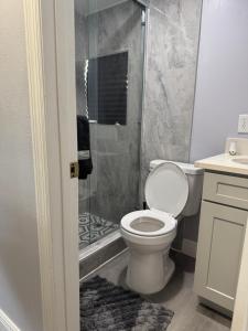 a bathroom with a toilet and a shower at Hidden Treasure in Davenport