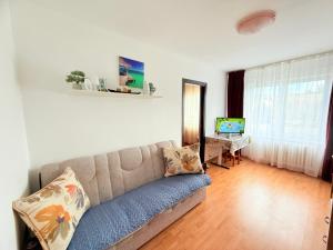 a living room with a couch and a desk at Cozy Apartments in Bacău
