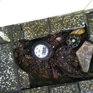 Φωτογραφία από το άλμπουμ του Pickleball Golf valley σε Da Lat