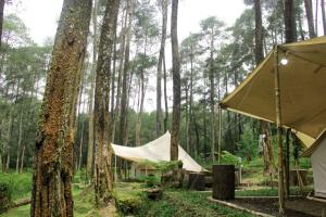 Κήπος έξω από το Lembah Pinus Cikole +24 φωτογραφίες