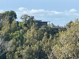 a house on top of a hill with trees at Golden Ridge Retreat in Otorohanga +3 photos