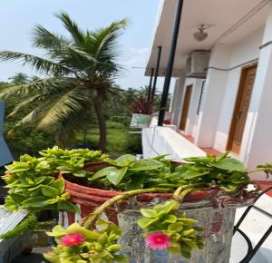 a bucket filled with plants and a palm tree at kavieya residency in Pūrnānkuppam
