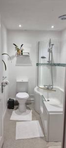 Koupelna v ubytování Calm Private Apartment Ideal to Work, Rest Explore