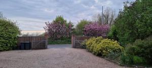 Zahrada ubytování Calm Private Apartment Ideal to Work, Rest Explore