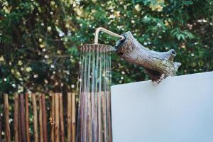 a bird feeder hooked up to a tree branch at The Grand Luxury Safari Villa, Huge Private Pool, Hottub, Outdoor Shower, Giraffe Tower in Hluhluwe