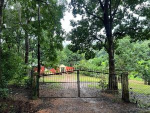 Imagine din galeria proprietății Vantara jungle stay în Potolai