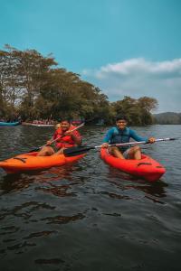 Imagine din galeria proprietății Vantara jungle stay în Potolai +9 fotografii