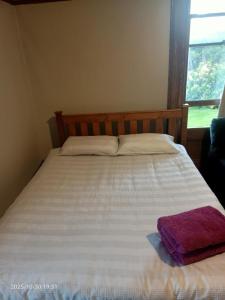 a bedroom with a bed with a white bedspread and a window at Ballymena House in Dunedin