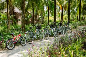 Berbasikal di atau sekitar Thala Tra Vinh