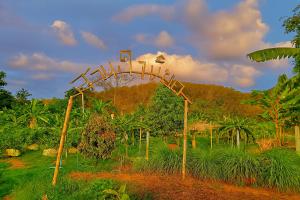 Gallery image of Greenheart Garden View Camp Phuket in Kata Beach