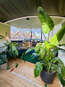 a room with a bed and plants in it at The Floating Terrarium in London