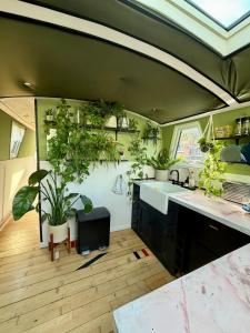 a kitchen with lots of potted plants on the wall at The Floating Terrarium in London