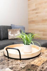 Fotografie z fotogalerie ubytování Country Inn & Suites by Radisson, Prairie du Chien v destinaci Prairie du Chien