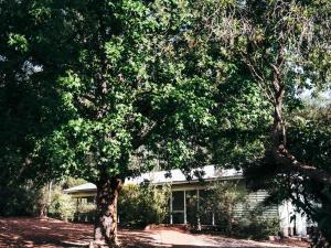 a large tree in front of a house at Jarrah Forest Lodge in Dwellingup