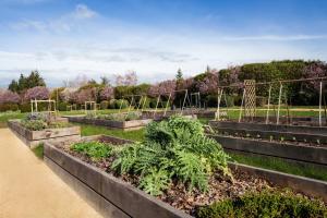 a garden with several raised beds of plants at Campanile Villennes-Sur-Seine - Poissy - Hôtel rénové en 2024 in Villennes-sur-Seine