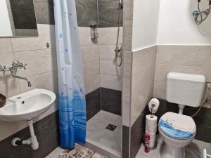 Koupelna v ubytování Zsindely Ház Károlyfalva Sátoraljaújhely + 23 fotografií