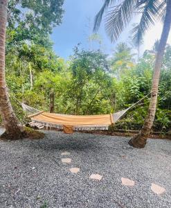 a hammock hanging from two palm trees on a beach at La Sirena Villa in Talpe
