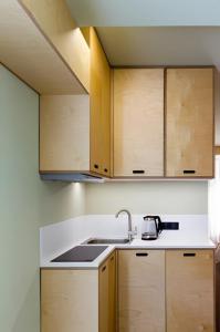 Η κουζίνα ή μικρή κουζίνα στο Studio in The Hills of Bakuriani Rooms Hotel Building