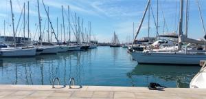 een groep boten aangemeerd in een jachthaven bij Mar 4 en Santa Pola in Santa Pola