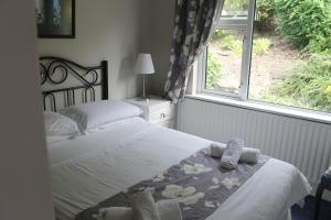 
a bedroom with a bed and a window at Glenbarry B&B in New Ross
