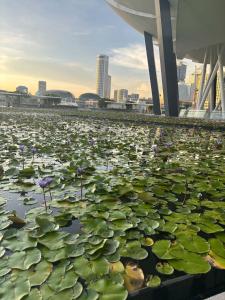 Φωτογραφία από το άλμπουμ του tripla Philippines στη Μανίλα
