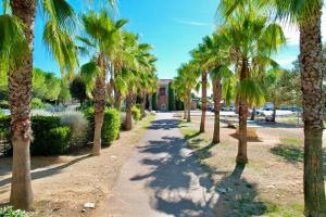 a path lined with palm trees in a park at Panorama du mas, 2 Pers Piscine à Calvisson in Calvisson
